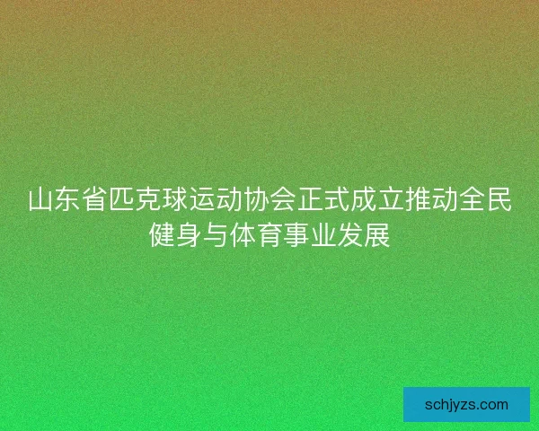 山东省匹克球运动协会正式成立推动全民健身与体育事业发展