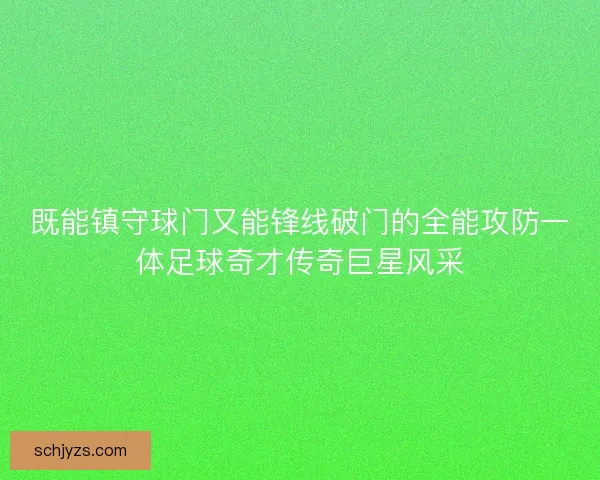 既能镇守球门又能锋线破门的全能攻防一体足球奇才传奇巨星风采